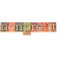 Government & Non-Profit Organizations1