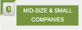 mid size & small companies